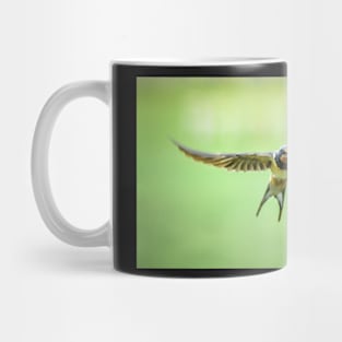 Swallow in Flight Mug